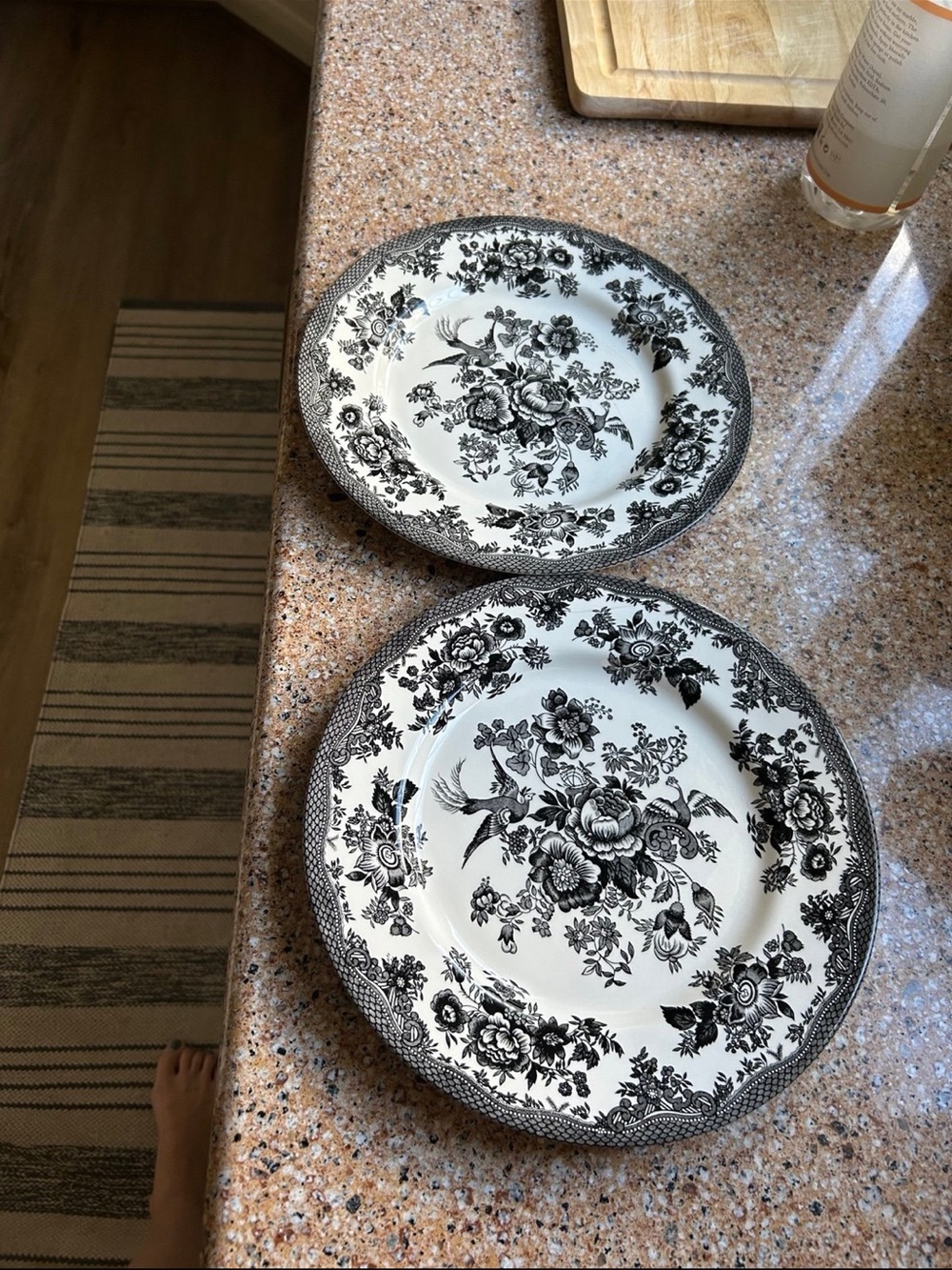 Set of 2 Royal Stafford Asiatic Pheasant  Black 11 inch Plates